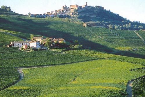 Cascina Rocca - Guest House 카스티글리오네 팔레토 외부 사진